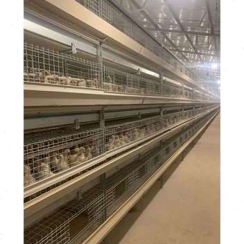 促育雏鸡笼养小鸡鸡笼子养鸡笼层叠育雏笼自动化鸡笼设备养殖场厂