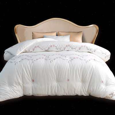 盛宇家纺 全棉冬被被芯加厚保暖被芯单双人被床上用品冬季被芯