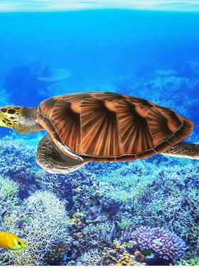 欧式仿真玻璃钢立体海龟玳瑁工艺品摆件大堂酒店客厅纯手工装饰品