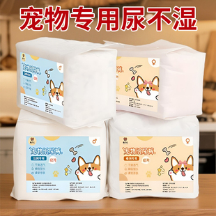 宠物狗狗纸尿裤柯基泰迪尿不湿女狗姨妈巾幼犬公狗母狗专用生理裤