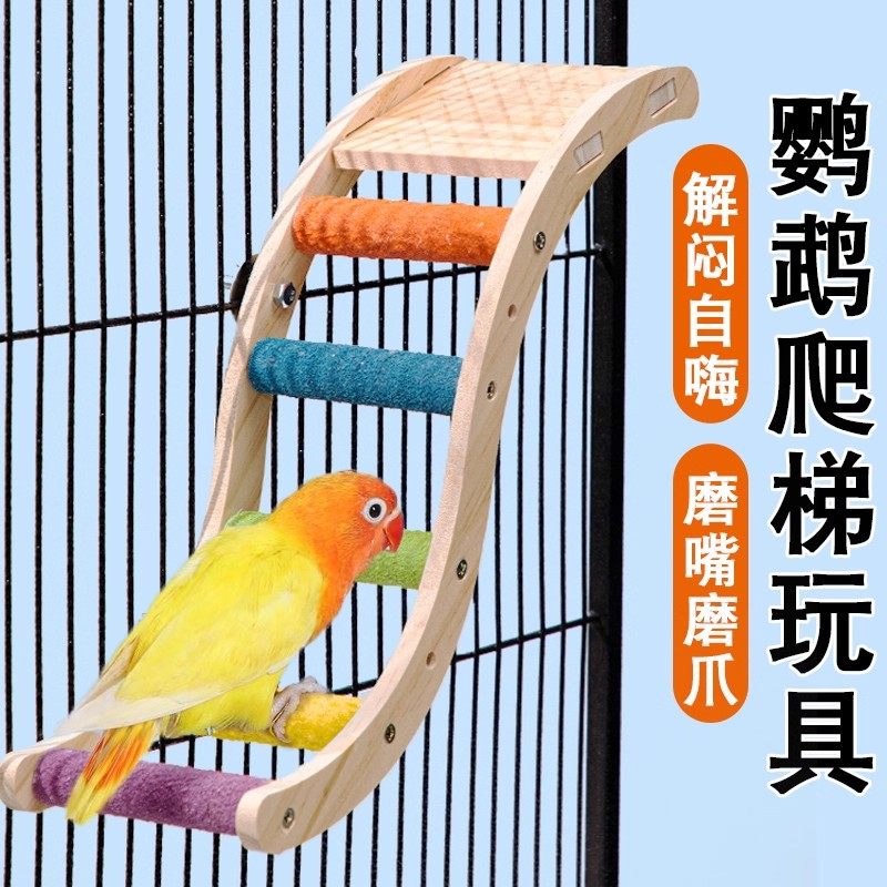 鹦鹉站架玩具攀爬梯解闷自嗨磨牙磨爪棒专用鸟笼磨砂站杆,宠物/宠物食品及用品,鸟秋千,淘宝优惠券,粉丝福利购,淘宝优惠卷