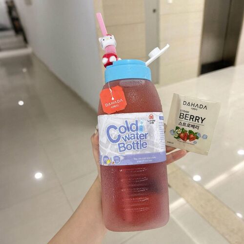 便携式1L大容量吨吨壶耐高温食品级外带随手杯冷萃泡茶杯子冷水壶