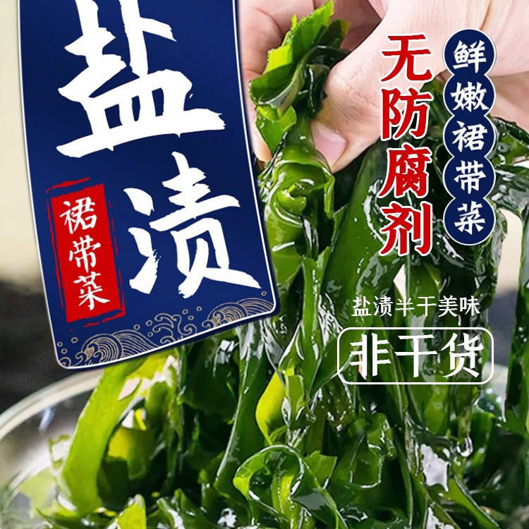 裙带菜海带苗海带新鲜裙带
