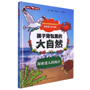 孩子背包里 精 大自然 海岸 探索迷人