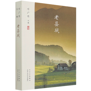 老县城 叶广芩文集