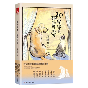 阳光温柔猫狗可爱