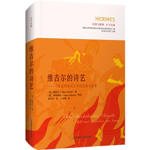 中 埃涅阿斯纪 比喻与象征 诗艺 维吉尔