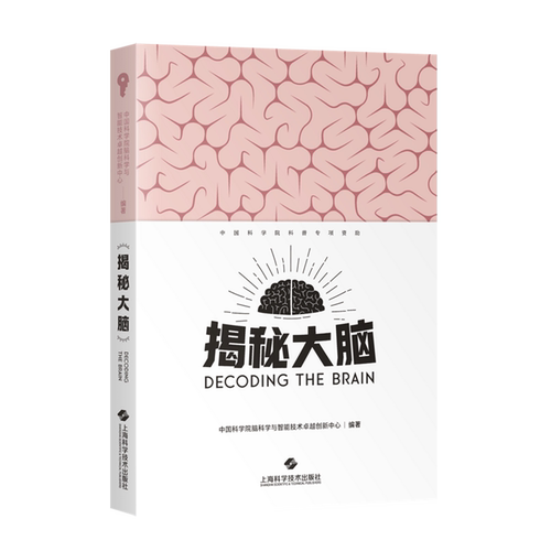 揭秘大脑