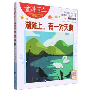 湖滩上,有一对天鹅