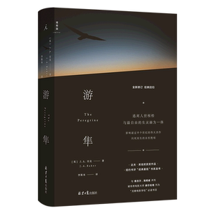 精 游隼 全新修订