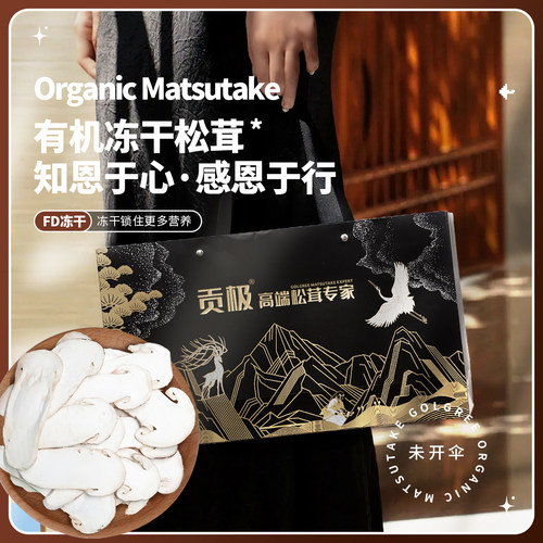 贡极冻干松茸菌菇送礼佳品礼盒装