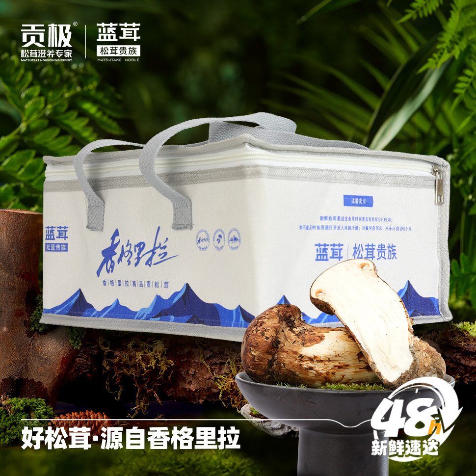 贡极新鲜松茸不开伞1000g