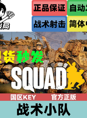 Steam正版游戏 战术小队 国区CDKey激活码 Squad 行动小组 射击