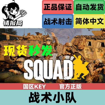 战术小队正版steam平台激活码