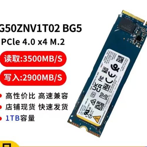 请议价-铠侠KIOXIA KBG50ZNV1T02 BG5 1TB