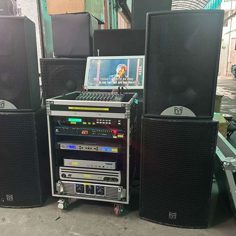 请议价-玛田专业套装，一套完整设备，包含12寸专业一对、功放
