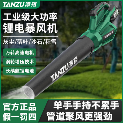 潭祖无刷纯铜电机大功率12级风力