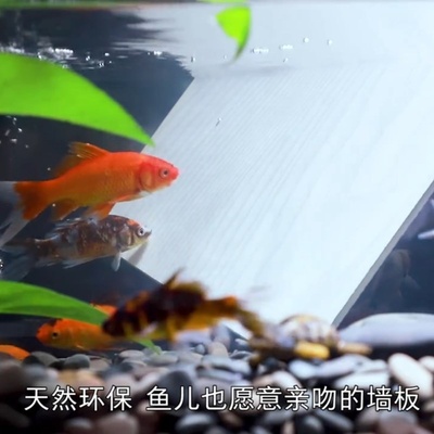 现货速发装修材料竹木纤维集成墙板自装护墙板墙面板全屋防水纤维