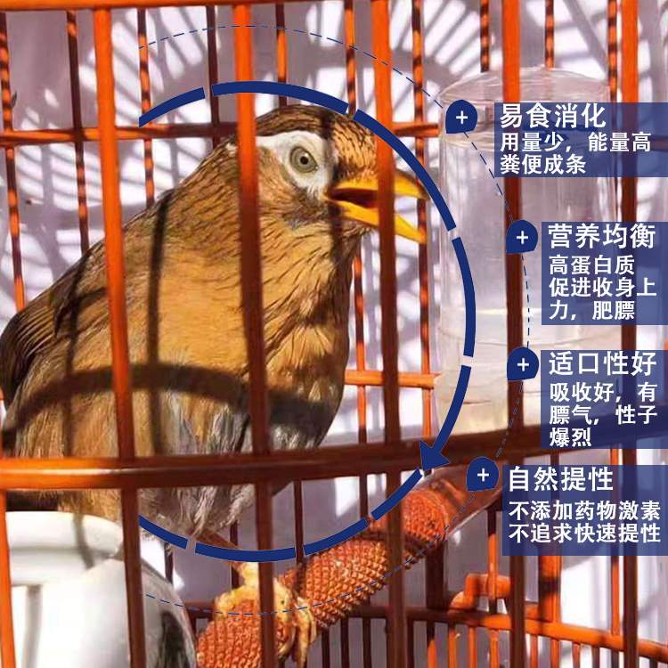 苗人牌养生料500克手工画眉鸟食饲料秘制专用斗鸟料壮膘料 包邮