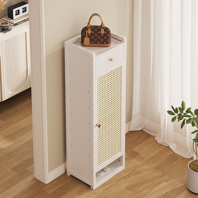 竹中生智多功能白色鞋柜