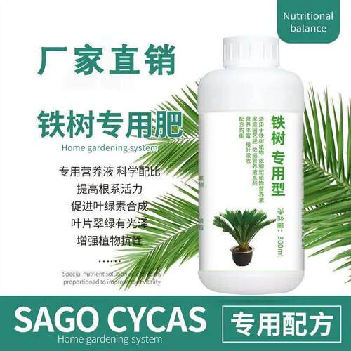 铁树植物铁树盆景肥料苏铁树盆栽专用复合肥料防黄叶干枯