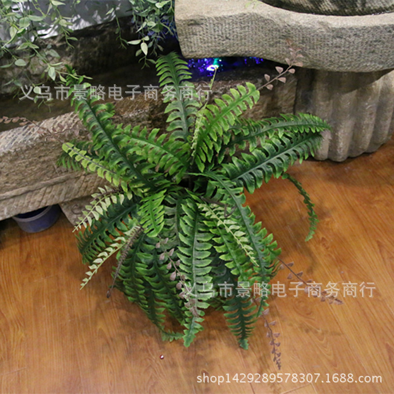 新品上市28叶蕨草仿真鱼尾波斯草植物墙配材鱼刺羊齿蕨波斯草