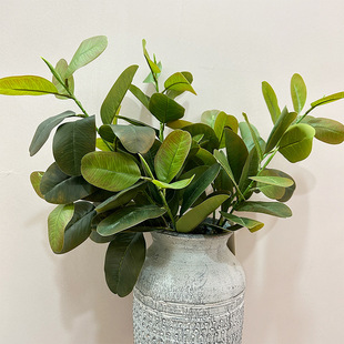 厂家直销玉兰叶仿真柚子叶植物墙造景家居装饰婚庆逼真假绿植