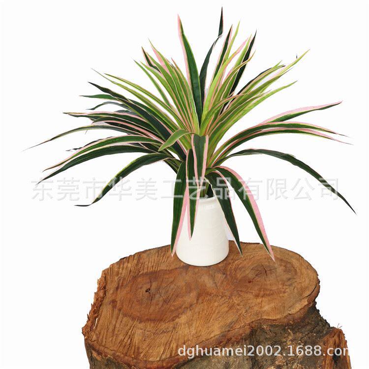 厂家真假花绿植植物墙装饰花草叶子单支小吊兰红边吊兰草