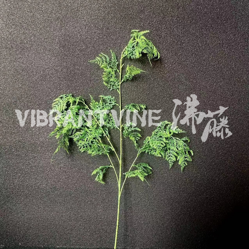 仿真文竹蕨类酒店家居软装造景假植物森系婚礼布置仿真绿植跨境外