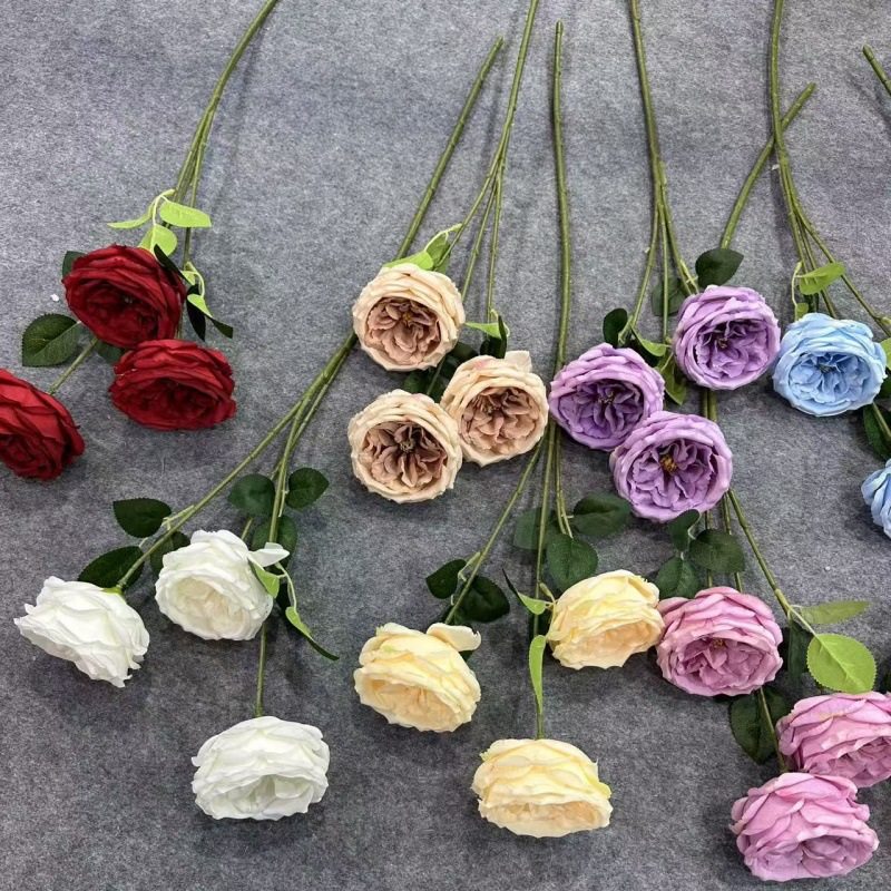 3头奥斯汀玫瑰仿真花家居婚庆背景墙人造假花酒店婚礼装饰绢花批,家居饰品,仿真花/假花,淘宝优惠券,粉丝福利购,淘宝优惠卷