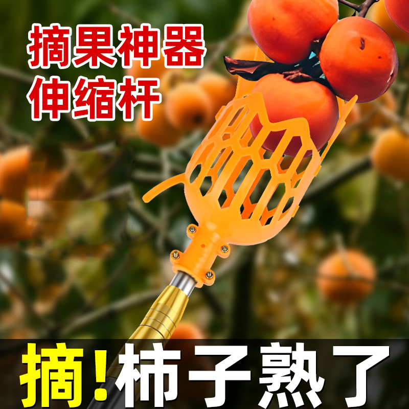 柿子熟啦！摘柿子神器伸缩杆采摘