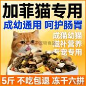 加菲猫专用猫粮10斤装 5斤流浪猫大小猫专用 幼猫成猫通用型大包装