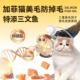 加菲猫专用猫粮成猫幼猫通用型10斤便宜冻干六拼大包装 二月三月