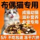 布偶猫专用10斤大包装 冻干猫粮成幼猫5斤通用型大猫小猫便宜实惠