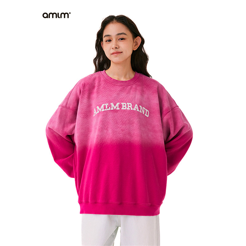AMLM渐变弧形文字卫衣图片