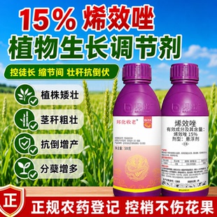15%烯效唑控旺药控梢抗倒伏矮化控制生长果树蔬菜植物生长调节剂