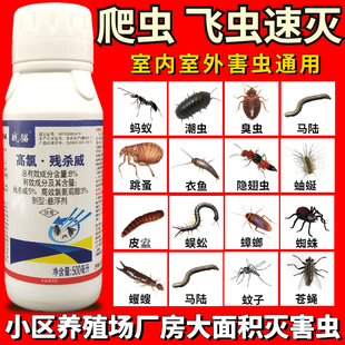 战猫8%高氯残杀威蚊蝇一夏净灭蝇蚊蟑螂跳蚤养殖场卫生农药杀虫剂