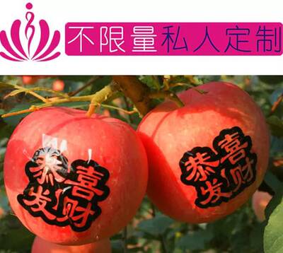 一千贴鲜果贴纸苹果字帖水晶红富士桃贴石榴贴纸芒果贴纸西瓜贴纸