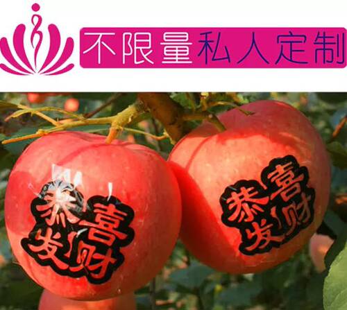 一千贴鲜果贴纸苹果字帖水晶红富士桃贴石榴贴纸芒果贴纸西瓜贴纸
