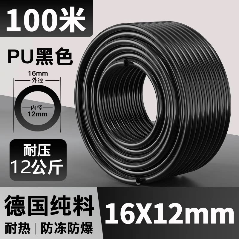 Variant 5809197592516