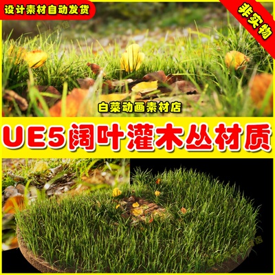 UE5虚幻资产 Broadleaf Undergrowth 灌木植被树叶树木模型5.2