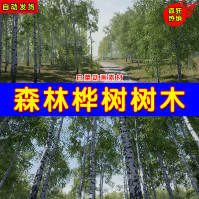 UE4森林树木桦树UE5树林环境场景植物道具 Trees Birch Tree