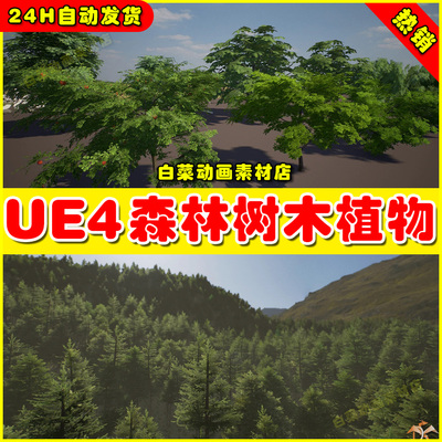 UE4森林植物UE5树木 Forest Trees Plants and Grass Part