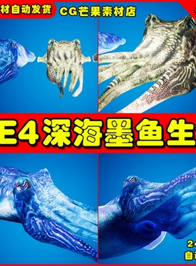 UE4变色乌贼章鱼墨鱼怪物UE5动画模型 Cuttlefish Camouflage
