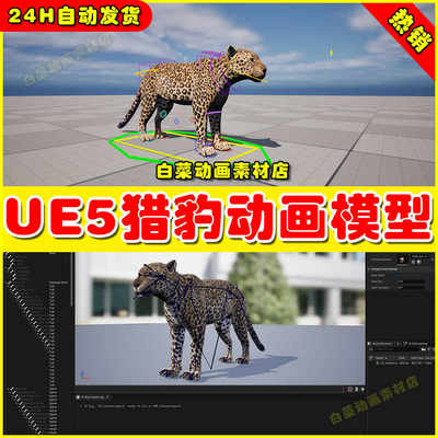 UE5虚幻Indian Leopard Control Rig猎豹生物动画虚拟素材模型5.2