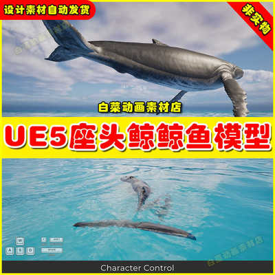 UE5 Animated Humpback Whale座头鲸鲸鱼动物虚拟设计素材5.3版本