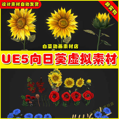 UE4 UE5 Stylized Handpainted Wildflowers Pack Low-向日葵素材