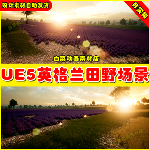 Scale Fields Real 田野场景 Satellite Landscape UE5 England