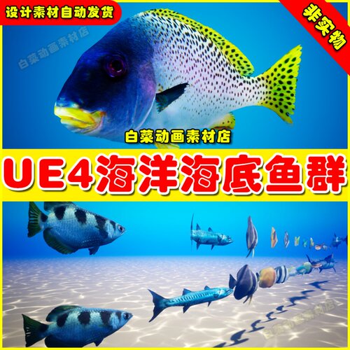 UE4海洋海底鱼儿UE5鱼群 Fish for Fish School System