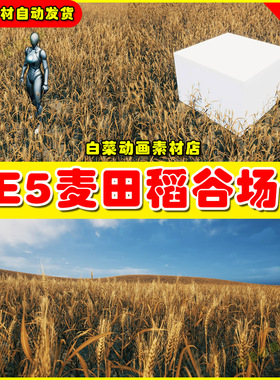 UE5 Nanite Foliage - Wheat Field 小麦稻谷田野场景5.5版本